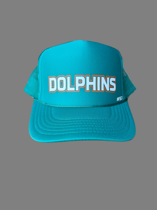 DOLPHINS Football