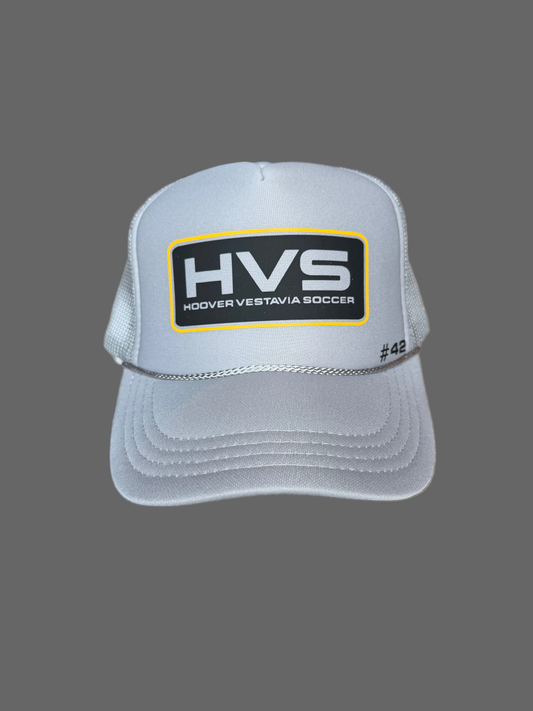 HVS-2026